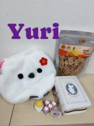 Yuri
