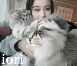 Iori