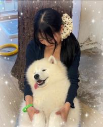 Mimi